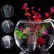 PREMIER PLANTS 10 Meter PVC Hose Oxygen Pipe, 2 Aquarium Controller, 2 T-Way Air Connectors, 2 I-Way Connectors, 2 Aquarium Air Stones, 2 Suction Cups, 1 No of 4 Way Air Connector (12 Pcs) PREMIER PLANTS 10 Meter PVC Hose Oxygen Pipe, 2 Aquarium Controller, 2 T-Way Air Connectors, 2 I-Way Connectors, 2 Aquarium Air Stones, 2 Suction Cups, 1 No of 4 Way Air Connector (12 Pcs)