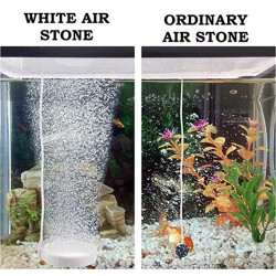 White Round Air Stone Disc Bubble Diffuser for Aquarium Fish Tank Hydroponics Pump Carborundum Airstones with Air Controller and Non Return Valve (2 INCH) Air Stone