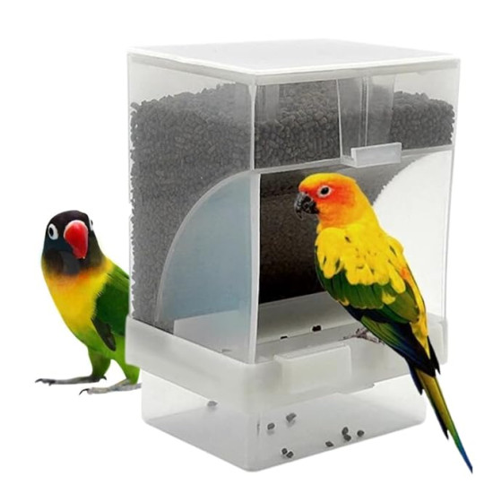 Premier Plants Birds Food Feeder Anti Spill Plastic Bird Feeder for Birtds Cage 500Ml Premier Plants Birds Food Feeder Anti Spill Plastic Bird Feeder for Birtds Cage 500Ml
