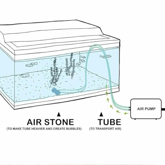  Premier Plants One Way Air Pump Super Silent with Adjustable Air Flow for Aquarium Fish Tank with 2 Meter Air Tube and 1 Air Stone (CT-101) 1 Way