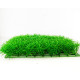 Green Grass Square Plastic Mat for Aquarium Fish Tank Decoration (Pack of 2) Green Grass Square Plastic Mat for Aquarium Fish Tank Decoration (Pack of 2)