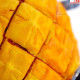 Premier Plants Spongebob Squarepants Pineapple House and Colorful Miniature 6 Piece Set Aquarium Ornament for Aquarium Decoration and Home Decoration etc. Premier Plants Spongebob Squarepants Pineapple House and Colorful Miniature 6 Piece Set Aquarium Ornament for Aquarium Decoration and Home Decoration etc.