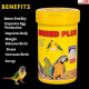 Breed Plus Advanced Formula for Birds Breeding with Vitamins/Better Fertility/Egg Production for Better Growth (50 Grams) Breed Plus Advanced Formula for Birds Breeding with Vitamins/Better Fertility/Egg Production for Better Growth (50 Grams)