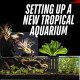 Premier Plants Black Adjustable Water Plant Holder Pot Cup for Aquarium Fish Tank Decoration and Aquascape Aquaponic Plant Growing Landscape Plants Cup Decoration Hanging Type (Pack of 2) Premier Plants Black Adjustable Water Plant Holder Pot Cup for Aquarium Fish Tank Decoration and Aquascape Aquaponic Plant Growing Landscape Plants Cup Decoration Hanging Type (Pack of 2)