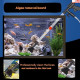 Aquarium Gravel Cleaner Ql-09G 3 In 1 Combo Water Changer With Algae Scrapeer For Aquarium Fish Tank Upto 92Cm Height (Gun Syphon Ql-09G) Aquarium Gravel Cleaner Ql-09G 3 In 1 Combo Water Changer With Algae Scrapeer For Aquarium Fish Tank Upto 92Cm Height (Gun Syphon Ql-09G)
