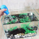 Manual Waste Remover for Betta Tank Nano Aquarium Dropper/Coral Feeder (30 ML) SPS HPS Feeder Reef Aquarium/Aquarium Gravel Cleaning Straw Aquarium Tool (30 ML) Manual Waste Remover for Betta Tank Nano Aquarium Dropper/Coral Feeder (30 ML) SPS HPS Feeder Reef Aquarium/Aquarium Gravel Cleaning Straw Aquarium Tool (30 ML)