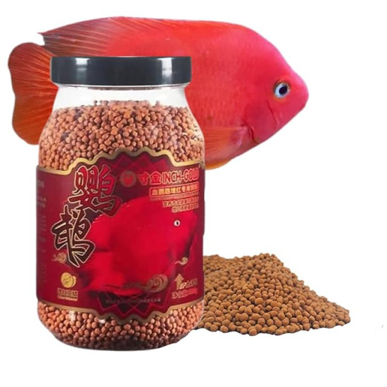 Premier Plants Inch Gold Parrot Pellet Fish Food for Aquarium All Life Stages (180 Gram) Premier Plants Inch Gold Parrot Pellet Fish Food for Aquarium All Life Stages (180 Gram)