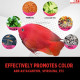 Premier Plants Inch Gold Parrot Pellet Fish Food for Aquarium All Life Stages (180 Gram) Premier Plants Inch Gold Parrot Pellet Fish Food for Aquarium All Life Stages (180 Gram)