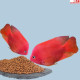 Premier Plants Inch Gold Parrot Pellet Fish Food for Aquarium All Life Stages (180 Gram) Premier Plants Inch Gold Parrot Pellet Fish Food for Aquarium All Life Stages (180 Gram)