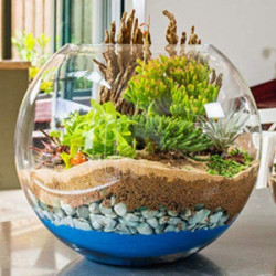 PLANTED SOIL