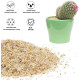 Aquarium Golden Coarse Natrual Gravel for Aquarium/Landscaping for Plant Tank Golden Color River Gravel for Freshwater/Blackwater Biotope Tank (2 Kg) Aquarium Golden Coarse Natrual Gravel for Aquarium/Landscaping for Plant Tank Golden Color River Gravel for Freshwater/Blackwater Biotope Tank (2 Kg)