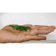 Figurines Toys, Realistic Assorted Mini Plastic for Aquarium/Party Favor Decoration/Bathtub Bath Pool Toy/Pet Collection/Gift (Crocodile) Figurines Toys, Realistic Assorted Mini Plastic for Aquarium/Party Favor Decoration/Bathtub Bath Pool Toy/Pet Collection/Gift (Crocodile)