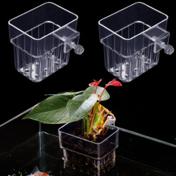 SANSEFERO Premier Plants Water Plant Holder Pot Cup for Aquarium Fish Tank Decoration and Aquascape Aquaponic Plant Growing Landscape Plants Cup Decoration Hanging Type (Pack of 2)