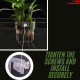 SANSEFERO Premier Plants Water Plant Holder Pot Cup for Aquarium Fish Tank Decoration and Aquascape Aquaponic Plant Growing Landscape Plants Cup Decoration Hanging Type (Pack of 2) SANSEFERO Premier Plants Water Plant Holder Pot Cup for Aquarium Fish Tank Decoration and Aquascape Aquaponic Plant Growing Landscape Plants Cup Decoration Hanging Type (Pack of 2)