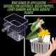 SANSEFERO Premier Plants Water Plant Holder Pot Cup for Aquarium Fish Tank Decoration and Aquascape Aquaponic Plant Growing Landscape Plants Cup Decoration Hanging Type (Pack of 2) SANSEFERO Premier Plants Water Plant Holder Pot Cup for Aquarium Fish Tank Decoration and Aquascape Aquaponic Plant Growing Landscape Plants Cup Decoration Hanging Type (Pack of 2)