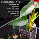 SANSEFERO Premier Plants Water Plant Holder Pot Cup for Aquarium Fish Tank Decoration and Aquascape Aquaponic Plant Growing Landscape Plants Cup Decoration Hanging Type (Pack of 2) SANSEFERO Premier Plants Water Plant Holder Pot Cup for Aquarium Fish Tank Decoration and Aquascape Aquaponic Plant Growing Landscape Plants Cup Decoration Hanging Type (Pack of 2)
