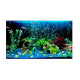 Multicolor Plastic Air Stone/Diffuser/Oxygen Bubble Stone for Aquarium (Pack of 5) Multicolor Plastic Air Stone/Diffuser/Oxygen Bubble Stone for Aquarium (Pack of 5)
