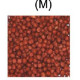 Excel red Color Enhance Fish Food (100 gm Medium- Size: 2.5 mm) Excel red Color Enhance Fish Food (100 gm Medium- Size: 2.5 mm)